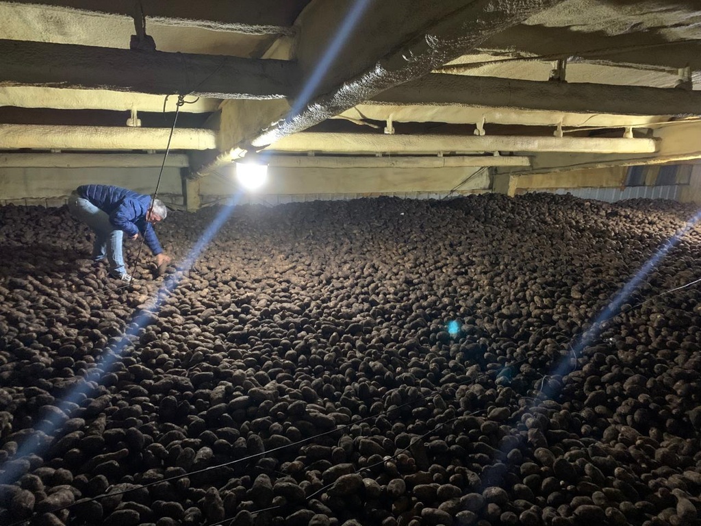 ALMACENAJE TOLLING A GRANEL - Notra Mare