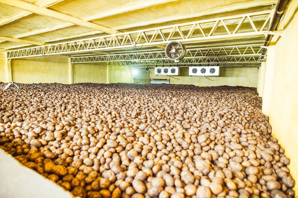 ALMACENAJE TOLLING A GRANEL - Notra Mare