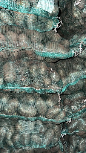 [Web Service] SERVICIO DE FRIO PARA PAPA SEMILLA - Abasto