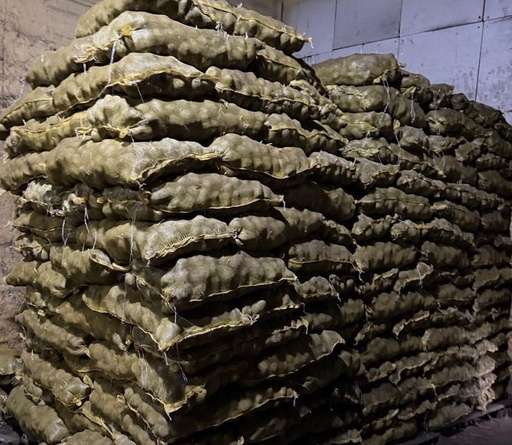 Papa Semilla Fundacion